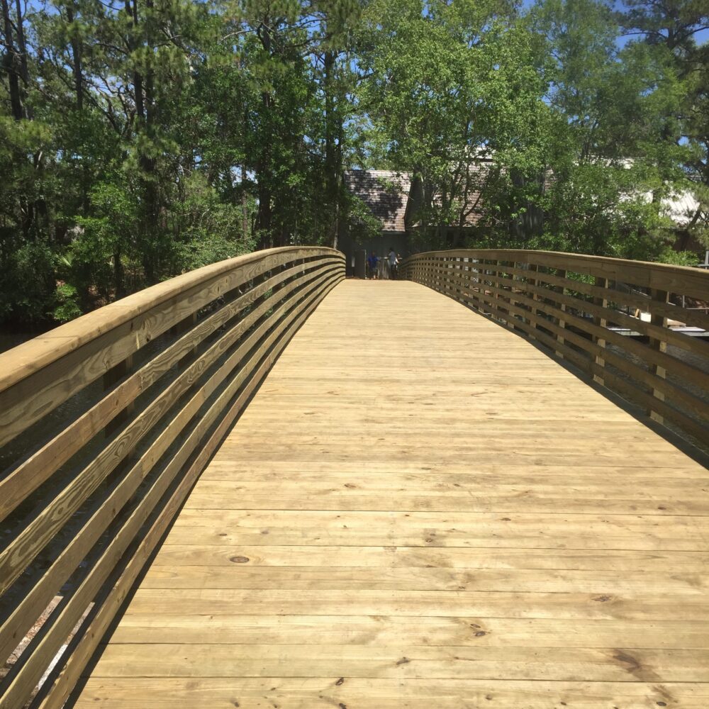 wooden bridge 2019