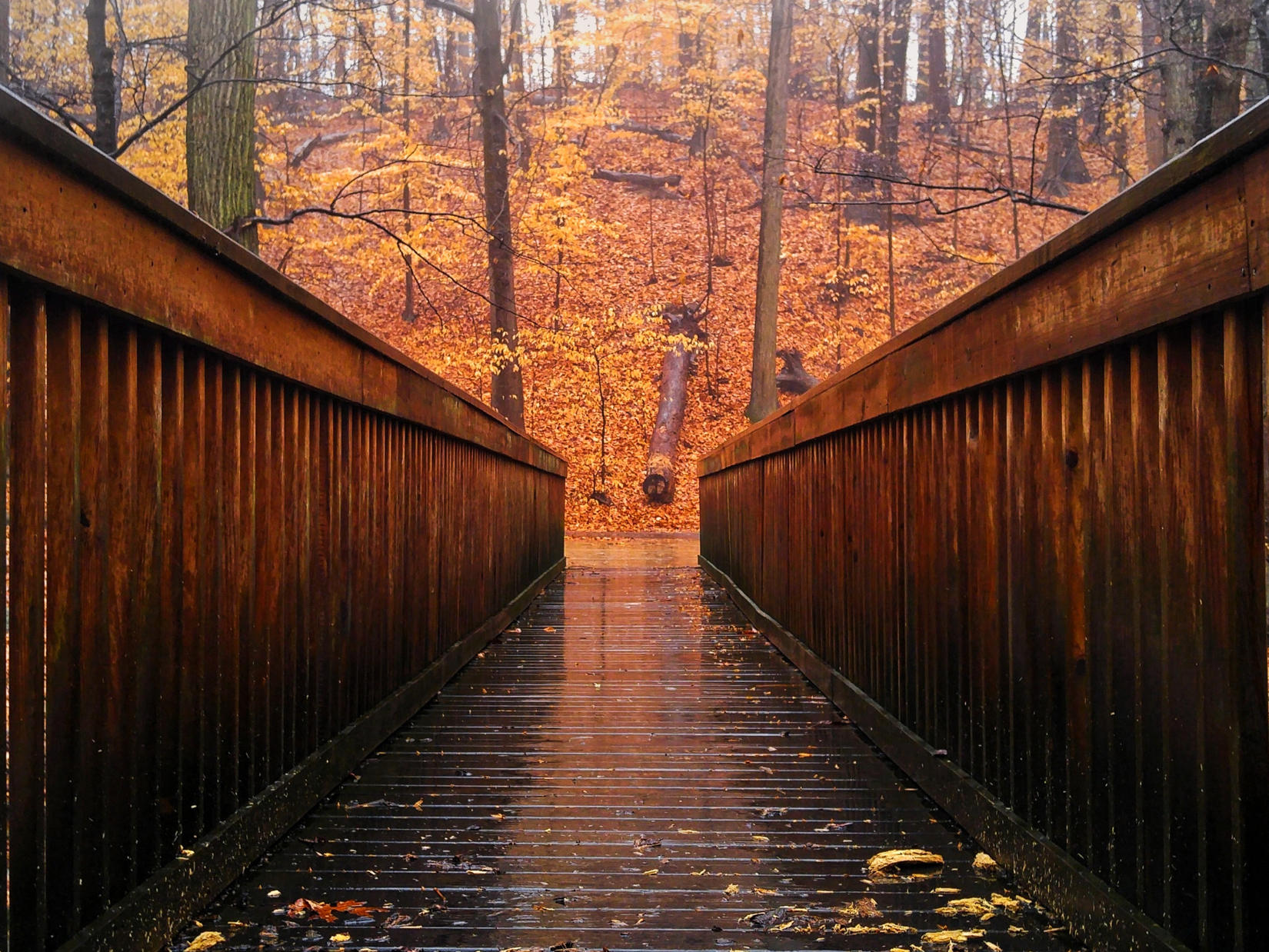 Experienced Bridge Building Company Serving The United States