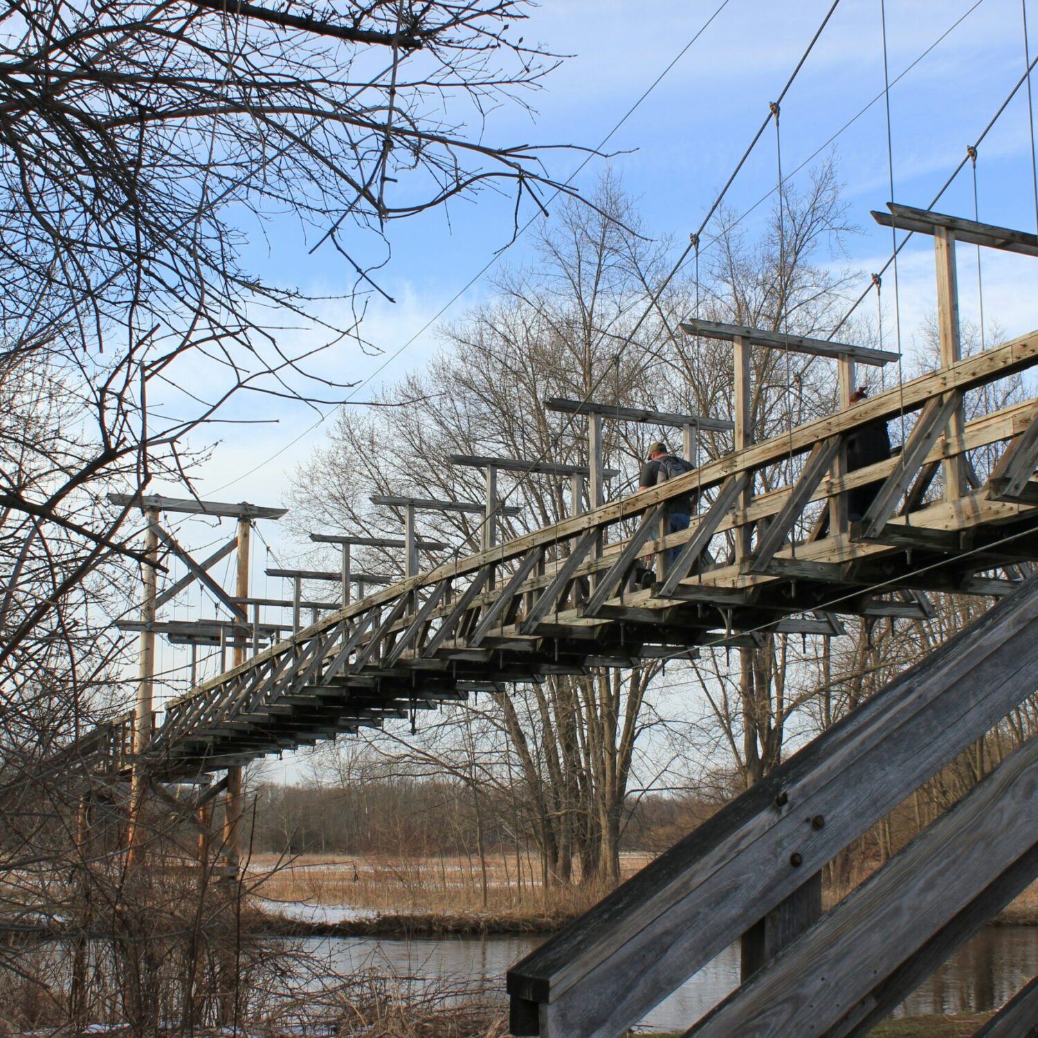 frolicsome-fairy-fWi-fMYP_5I-unsplash (1)