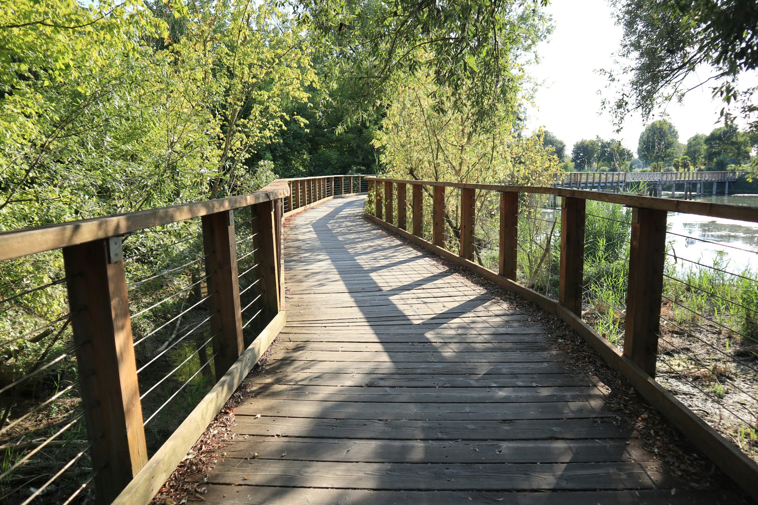 Restoring Strength and Stability to Aging Timber Bridges