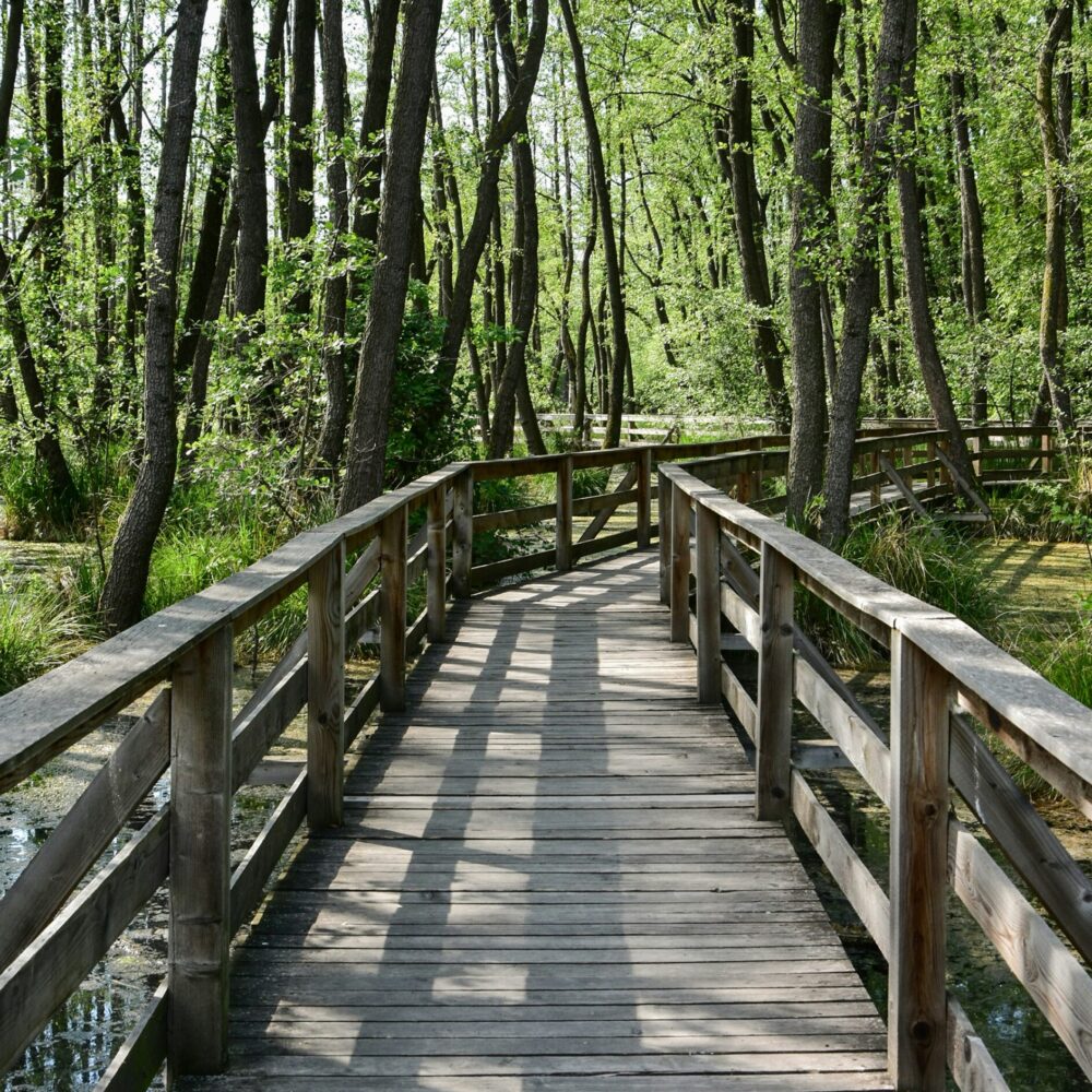 Trusted by Bridge Owners Nationwide