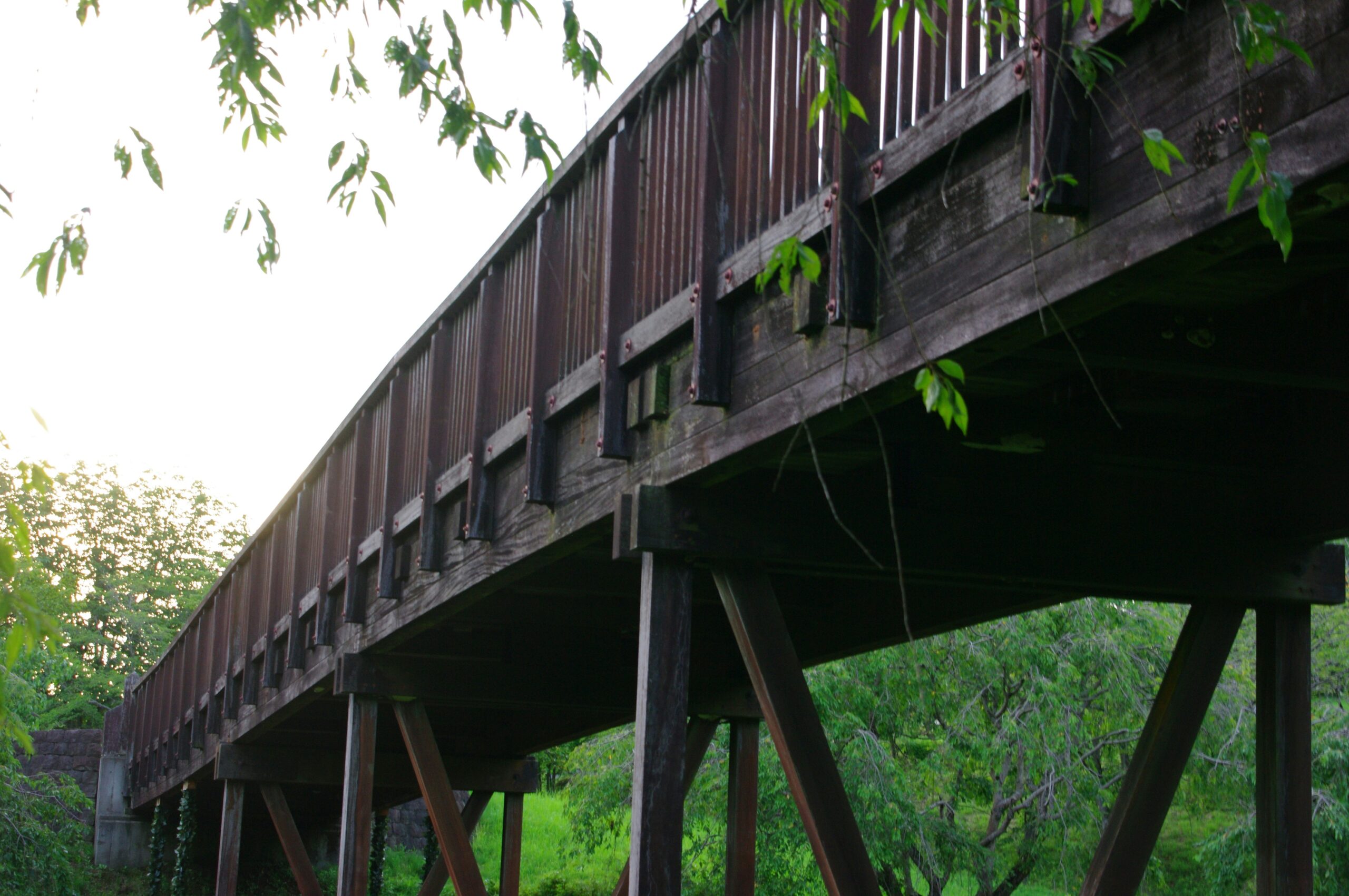 Complete Maintenance Solutions for Timber Bridges