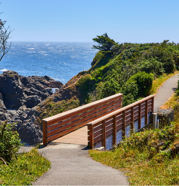 Pedestrian Trail Bridges